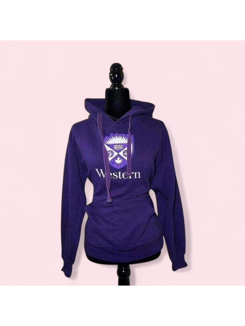 Y2K 2000s Preppy Western University Pullover Hoodie